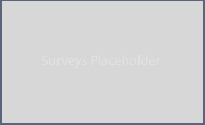 surveysplaceholder